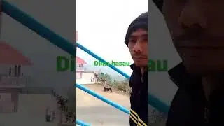 DiMA hasau gelari