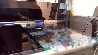 Sei Laser - Packmaster CrossWeb - Easy Opening - Tripa Converting Solutions