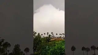first man of kasar #shorts #almora #kasardevi #viral #viralvideo #uttarakhand #nature #shortsvideo