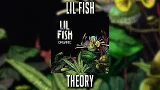 Lil Fish - Theory