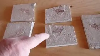 Opening up 4 big boxes of unprepared fossil fish from Lebanon!