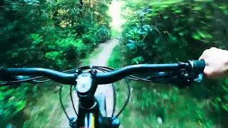 Triscombe Stone to Ramscombe | Quantock Hills DH