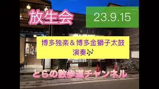 放生会　博多独楽＆博多金獅子太鼓　演奏🎶　　　　　とらの散歩道channel   @Catseye1123