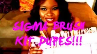 Diva on a Budget: Amazing $11.00 Sigma Brush Set Dupe