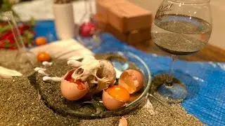 椚あすみ 会場デコレーション ATHALL 大分 