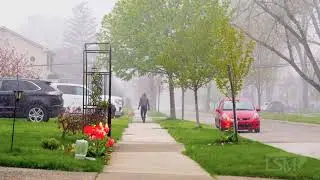 05-08-2020 Royal Oak, MI - Rare Record-Breaking May Snowfall
