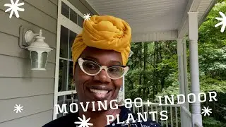 Moving Homes with 80+ Houseplants - How to Move Indoor Plants | Asiyah's Plant Life