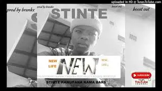 Stinte 