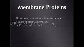Plasma membrane structure # cell membrane # biology #plasma membrane proteins #Physiology#Biology