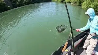 Lower Sacramento River-May 23