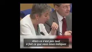 Quelles &eacute;taient exactement les fonctions d'Alexandre Benalla