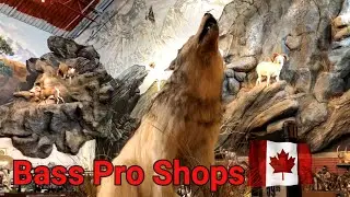 это самый лучший магазин Bass Pro Shops город Calgary