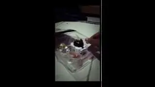 Unboxing!~ Ragnaruk Heavy Survive