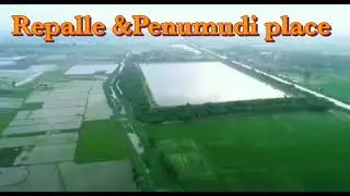 Repalle & penumudi🌉 place | krishna River🌉| Repalle town 🌴🛤🌴