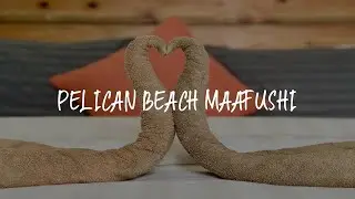 Pelican Beach Maafushi Review - Maafushi , Maldives