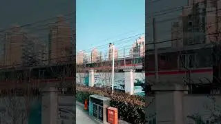 Shanghai City vibes, walking trip, traveling, adventure, life Goals, amazing roads, travel goals