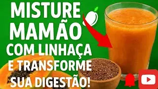 Qual &eacute; o SEGREDO para uma Digest&atilde;o Perfeita com Mam&atilde;o e Linha&ccedil;a?