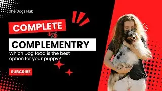 Complete vs. Complementary Dog Food: What&rsquo;s Best for Your Pup? 🐶🥩