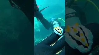 #travel #scubadiving #cebutravel #philippines