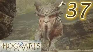 Hogwarts Legacy - San Bakar Trial - part 37
