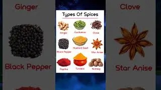 🌶️ &ldquo;Top Spices You NEED to Know About! | Types of Spices Explained&rdquo; #Spices