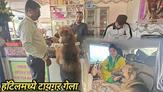 टायगर निघाला गावाला 😄 खूपच खुश आहे राव