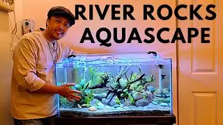How to make a River Rocks Aquascape