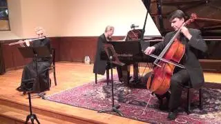 Flute music Haydn Trio in D Major by Sofia de Salis