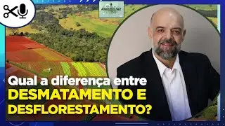 QUAL A DIFEREN&Ccedil;A ENTRE DESMATAMENTO E DESFLORESTAMENTO?