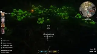 Mushrooms
