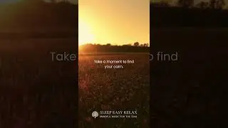 De-Stress with Nature's Beauty & Chill Vibes 