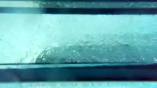 Aavp7a1 surf entry