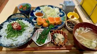 The Lunch of Japanese Salarymen -Salmon Katsu Set & Pok&eacute;mon Center Fun!