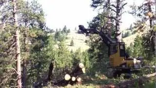 Tom Mahon Logging, Council, Idaho - Jammer Logging