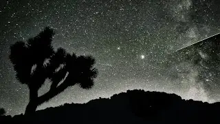 Hiking My Feelings Bonus Content: Hiking My Feelings into Outer Space with Iya Terra
