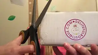 Deliteful Boutique Package 📦!!!! - Rare | Squishy World |