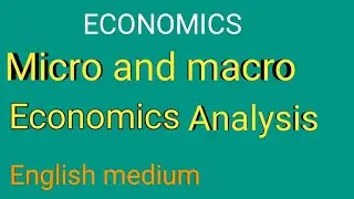 what is micro and macro economics in english ||  economics shatavahana.