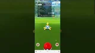 Don't Fuckle with Shuckle!