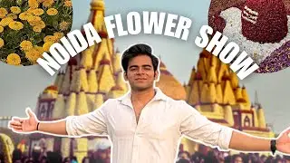 Noida Flower Show 2025 😱❤️| Stunning Floral Displays & Best Moments!🌻🌼