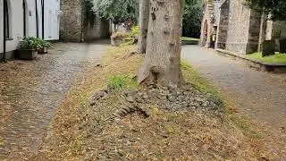 Paying respects at unmarked grave of Royalist soldiers ~ Battle of Torrington