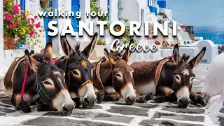 SANTORINI 🇬🇷☀️🇬🇷 GREECE 🇬🇷☀️🇬🇷 WALKING TOUR 4K