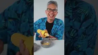 ALAT PENGUPAS JAGUNG VIRAL!!