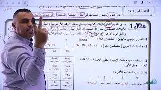 شرح قانون التوزيع الحر ( ج2 ) || أحياء - توجيهي 2006 مع أ. أنس أبو صليّح