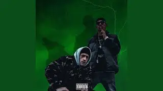 Bitte