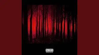something in the woods