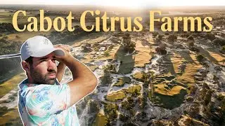 Cabot Citrus Farms — Кару | ЛУЧШИЙ новый курс в Америке