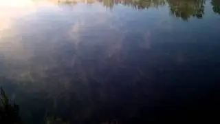 Mist on the water.  Vaalbos kamp site on the Vaal River near Parys