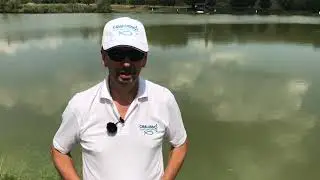 Pop Up Feeder kos&aacute;r