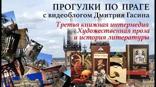 Прекрасная Прага. 15. Третья книжная интермедия. Художественная литература и история литературы