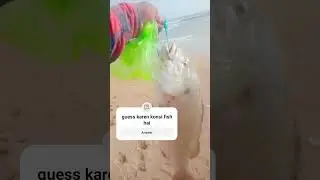 hawksbay hamaliya fishing 🎣 #fishing